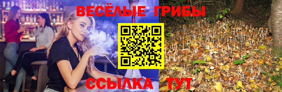 Псилоцибиновые грибы Psilocybine cubensis  Галлюциногенные грибы MAGIC MUSHROOMS  Вход с VPN  Старая Купавна 