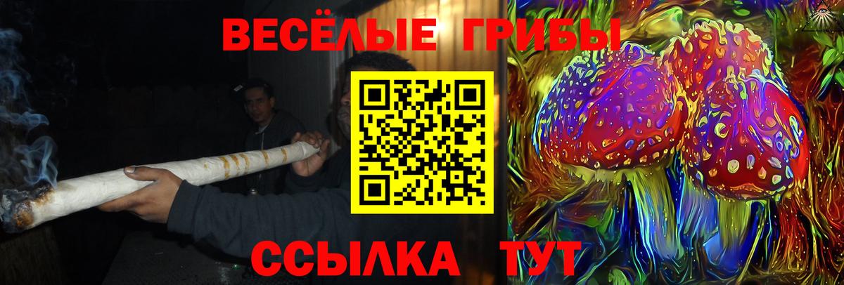 Галлюциногенные грибы MAGIC MUSHROOMS Старая Купавна